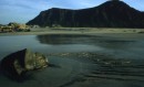 Lofoten 55 * 3176 x 1952 * (7.24MB)